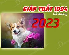 Tử Vi Tuổi Tuất 1994 Năm 2023 Nữ Mạng